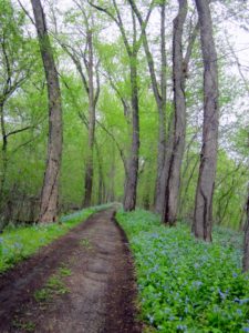 April on the Towpath near Mile 105 - Rali Roesing