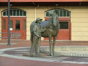 Mule Statue at Canal Place - Tina-Yoder