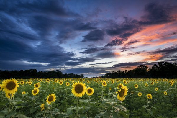 McKee Bechers Wildlife Management Area by Martin Radigan