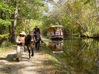 Mule-Drawn Canal Boat Ride