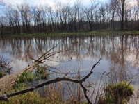 Dierssen Waterfowl Sanctuary