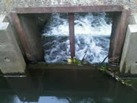 Waste Weirs