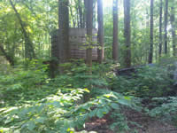 Maryland Mine Ruins