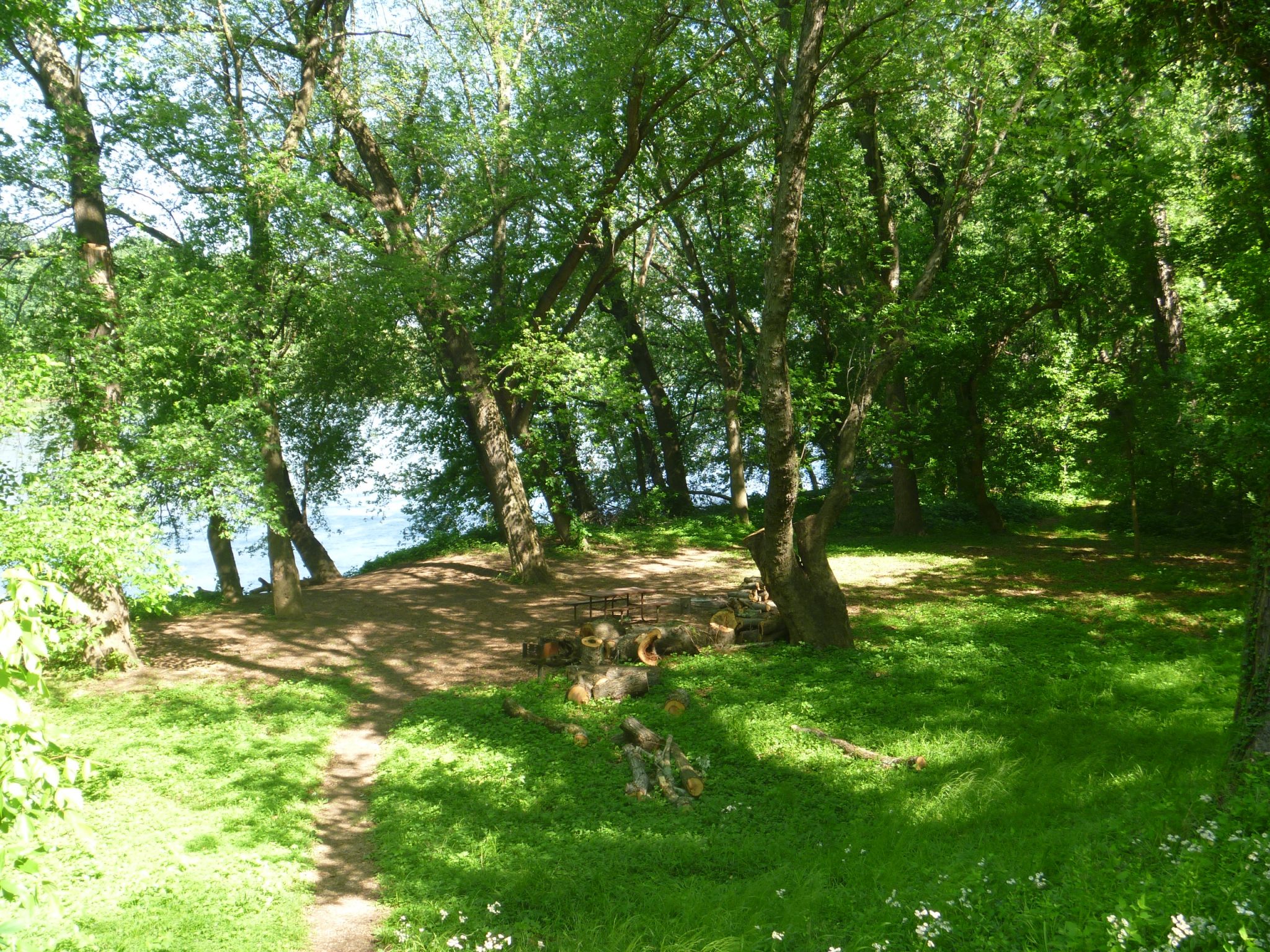 Bald Eagle Island Campsite C&O Canal Trust