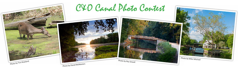 photos-for-contest-page
