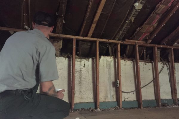 Post-Demo: Park Ranger inspects the second floor