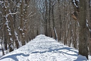 Towpath near mm 42 - Photo by Katie Stansbery