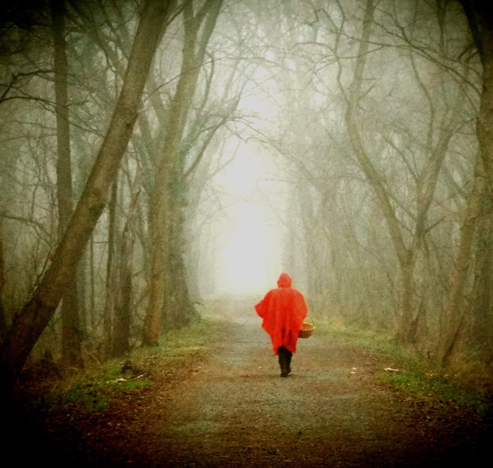 February’s Winner “Mysteries on the Towpath at Brunswick” , Photo by: Jerry Knight