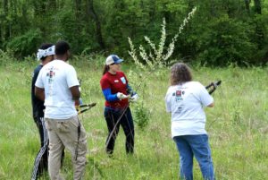 Canal Pride volunteers pulling invasive plants. 