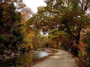 Towpath near Swain's Lock by Maria Dunn