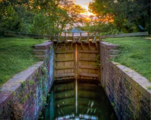 Violette's Lock - Stan Collyer