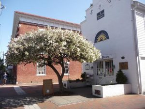 Shepherdstown Library