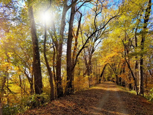 Late Afternoon Near Mile Marker 102 - MJ Clingan