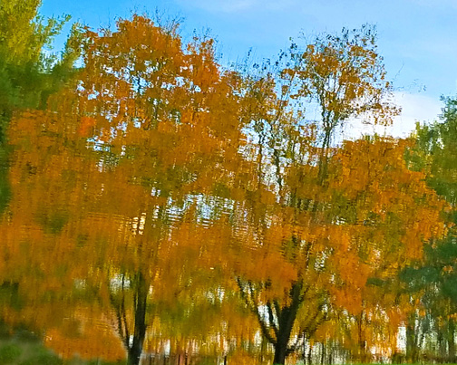 Reflections in the waters of the C&O Canal at Lock 99 - MJ Clingan