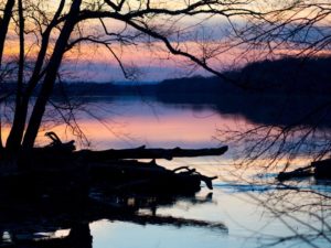 March's Winner: "Serene Beauty at Violettes Lock", by Peter Moreno