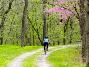 A biker rides the towpath.