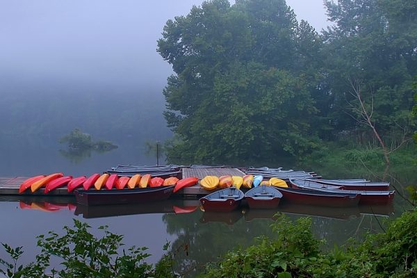 Fletchers Cove by Gary Anthes