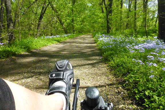 Riding the Towpath