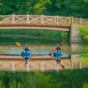 Kayakers on the Canal