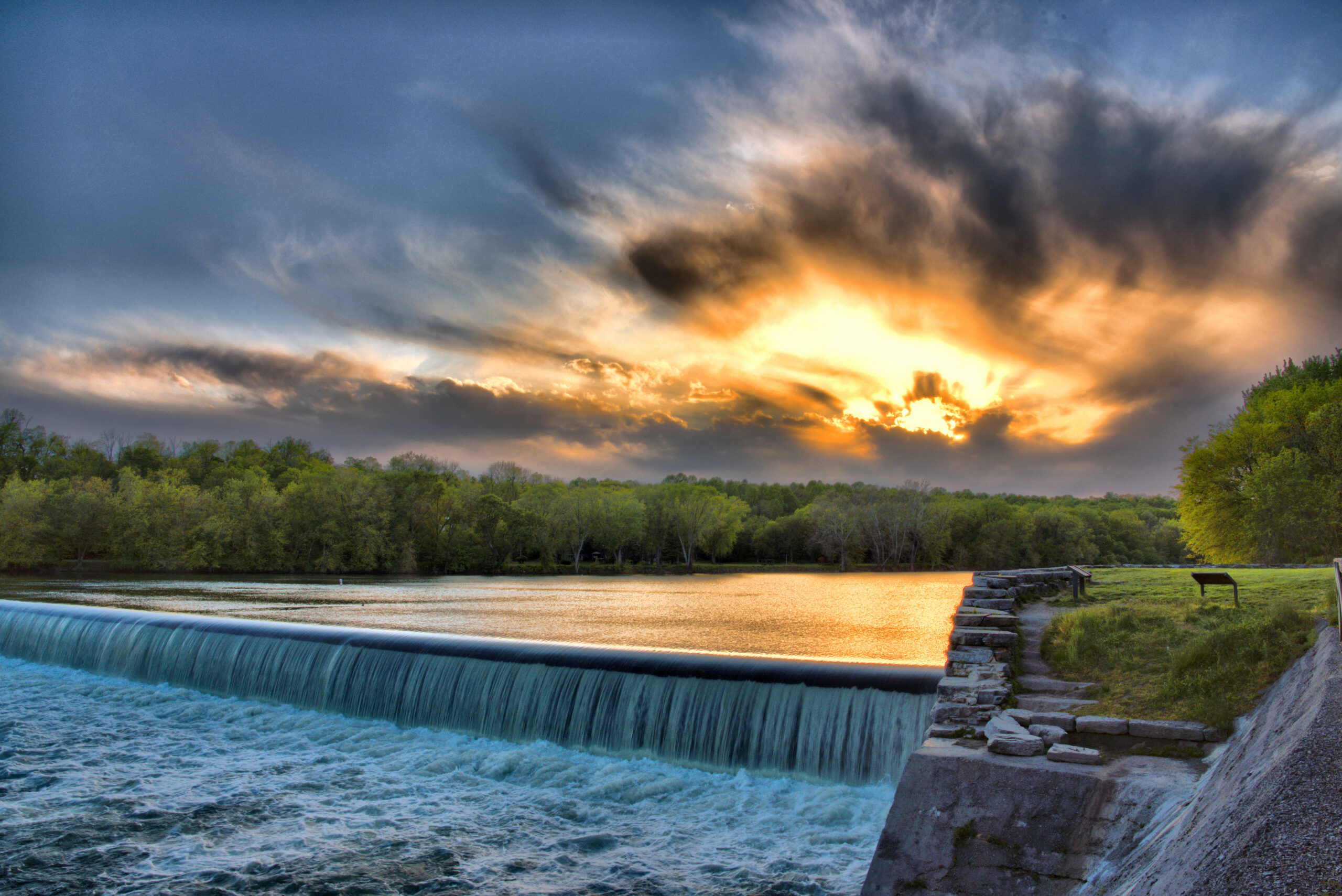 Fish – C&O Canal Trust