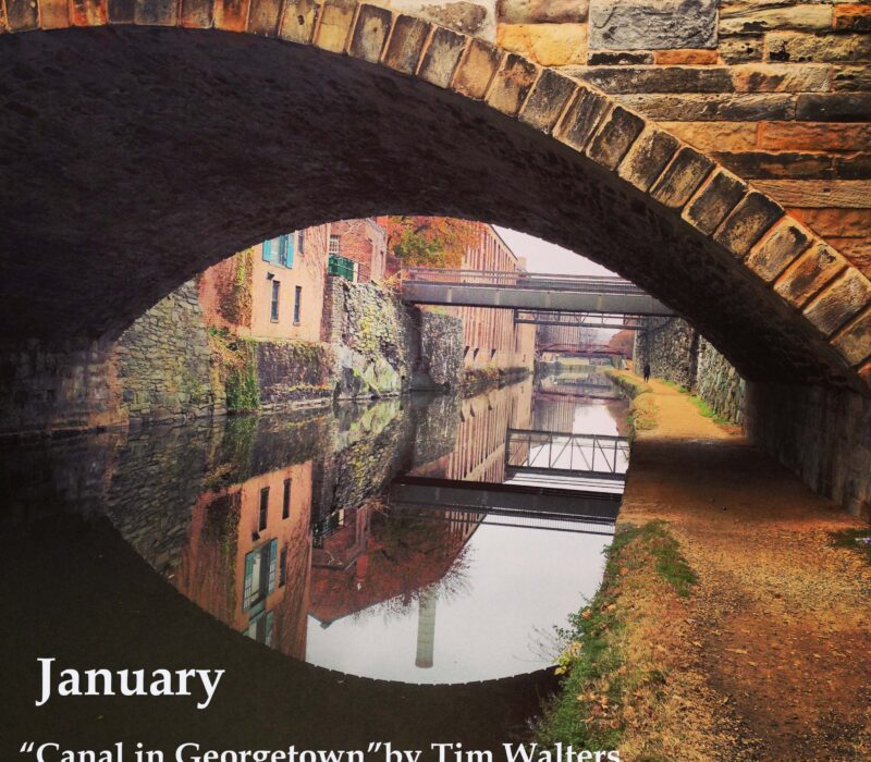 January Winner -- Canal in Georgetown-Tim Walters