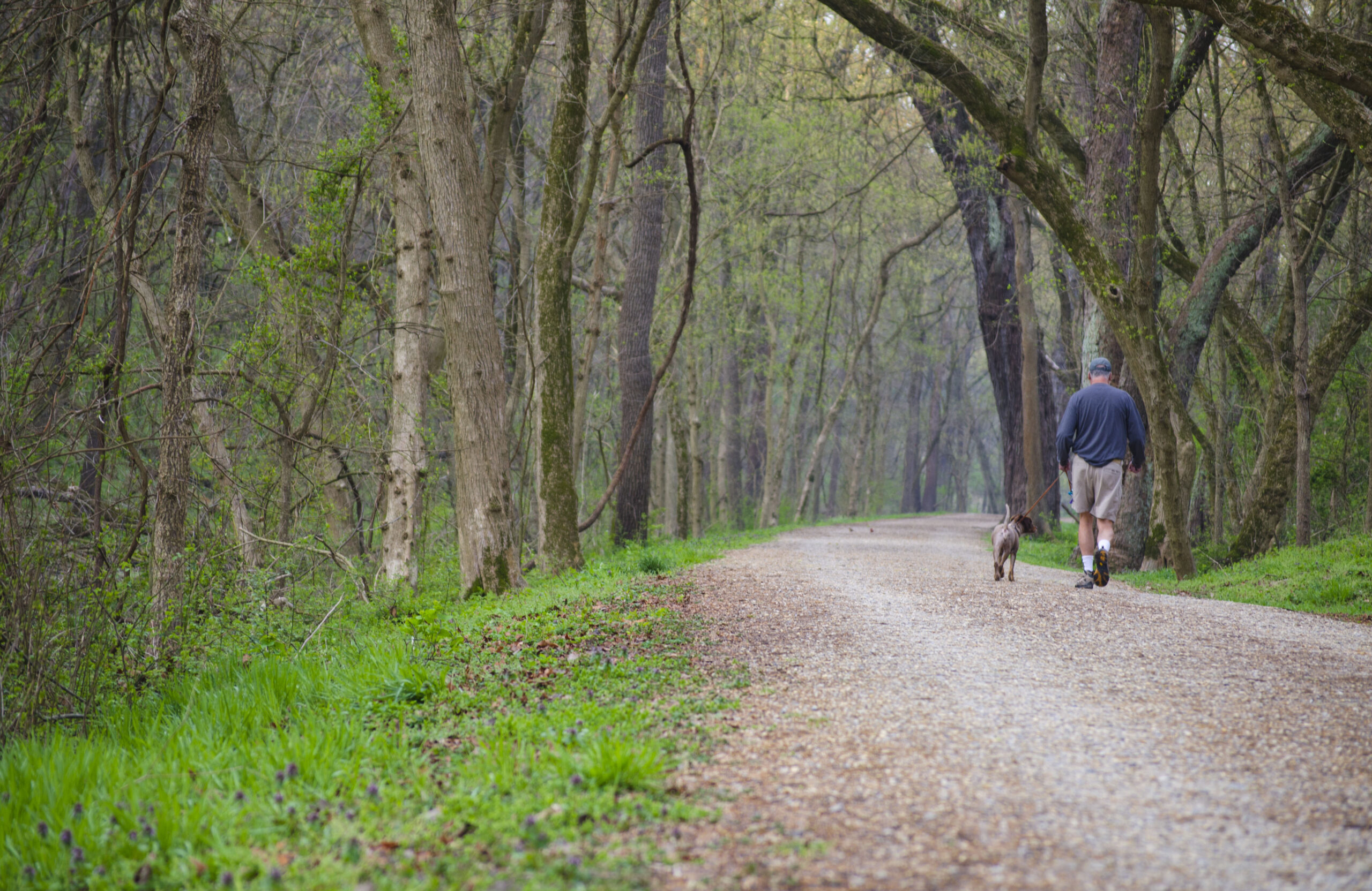 Man and Dog in Williamsport by Trust Staff
