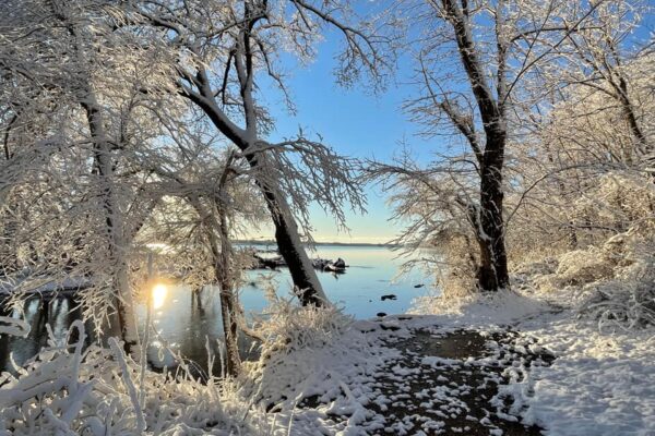 Snowy Path to the Potomac by Kara McNulty