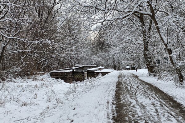 Winter Wonderland Near Lock 8 by Eric London