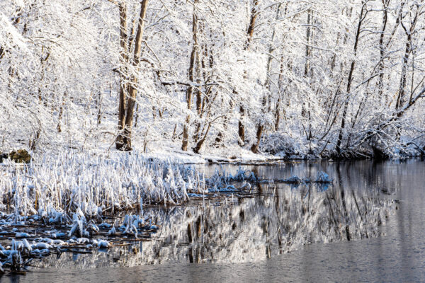 Winter on the Potomac River by Francis Grant-Suttie