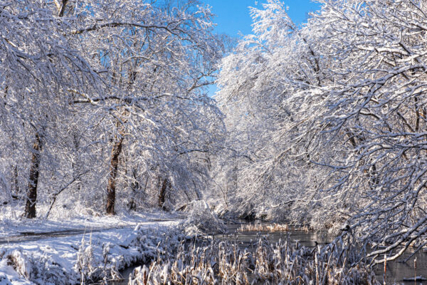 Winter on the Towpath by Francis Grant-Suttie (1)