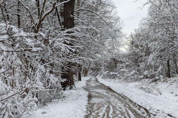 Wintry Path Near Lock 8 by Eric London