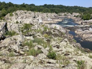 Scour habitat along the Potomac River