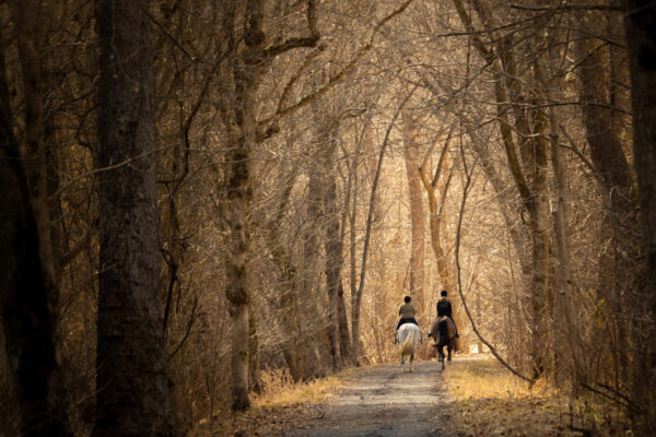 Equestrian Excursion Near Lock 27 Brian Anthony