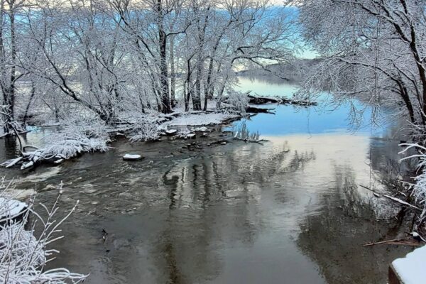 Looking Upriver from Inlet Lock No. 2 at Violettes Lock - Near Mile 22 by Jon Wolz