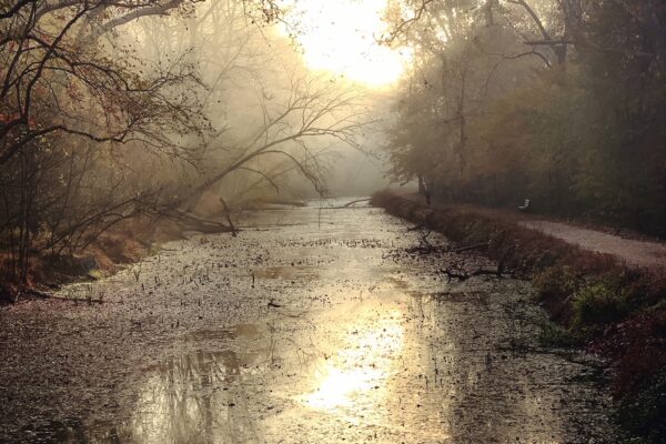 Early Morning on the Canal - Billy Goat Trail by Shantel Breen