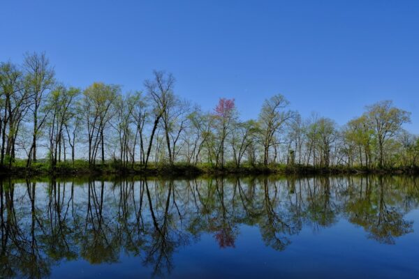 Reflections at Rileys Lock by Nicholas Clements