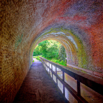 View from inside the Paw Paw Tunnel