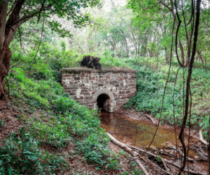 Historic Culvert 200 by Paul Graunke