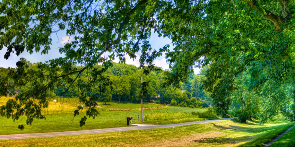 Antietam-Village-John-Gensor