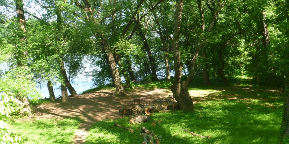 Bald-Eagle-Island-Campsite-PATC-GPS-Rangers