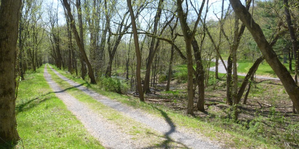 Berm-Road-PATC-GPS-Rangers