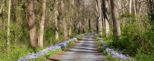 Between Sycamore Landing and Riley's Lock by Kelly Hilton