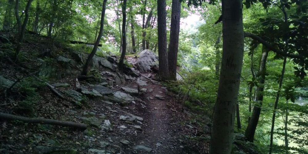 Billy-Goat-Trail-C-William-James