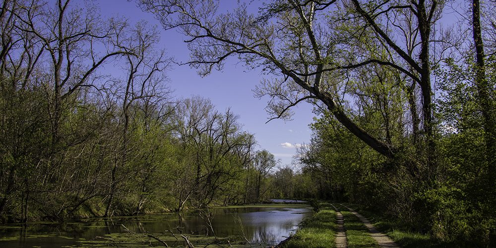 Dickerson-Conservation-Park-Bruce-Saunders