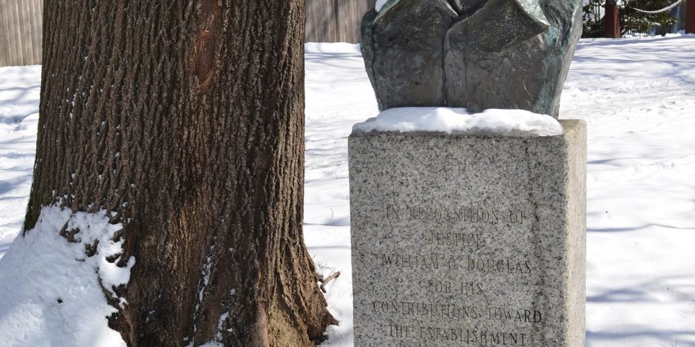 Douglas Bust snowy - Carole Lewis Anderson