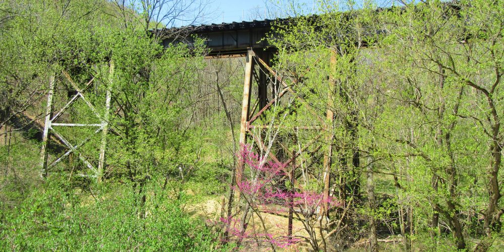 Green-Spring-Run-MJ-Clingan-Photography