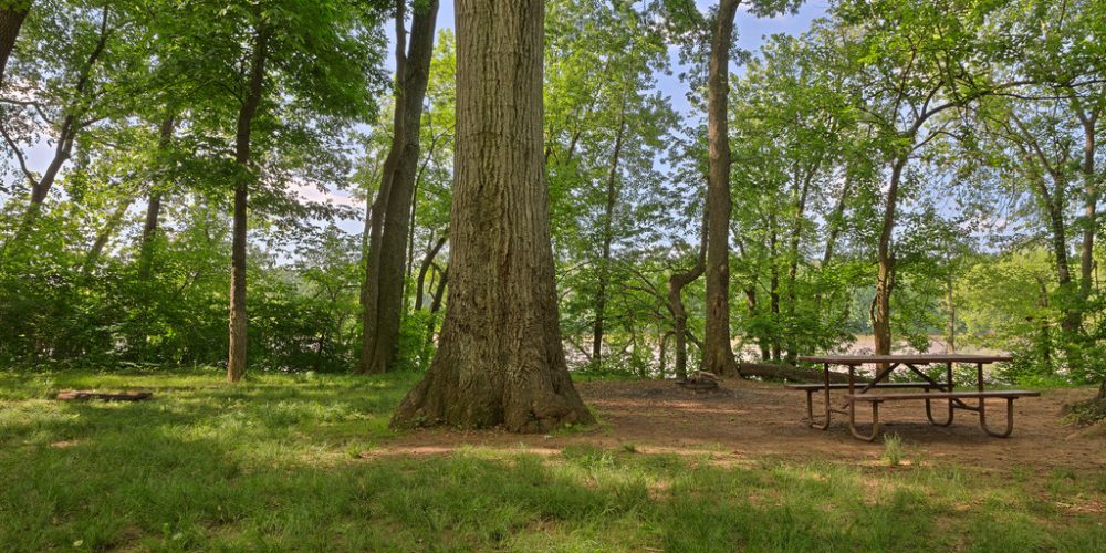 Horsepen-Branch-Campsite-Nicholas-Raymond