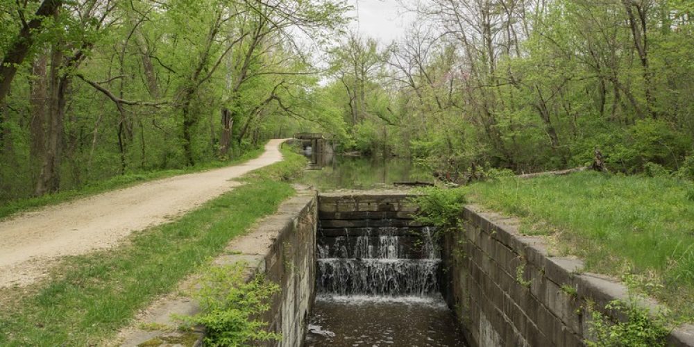 Lock-9-image-2-Suzanne-Lugerner