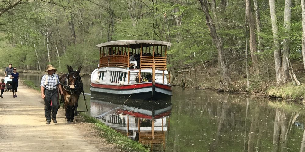 Mercer Boat Ride at Great Falls Tavern s - Roy Roberts