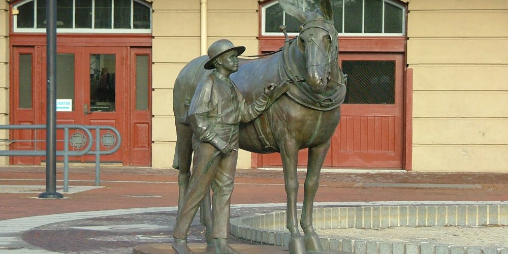 Mule-Statue-at-Canal-Place-Tina-Yoder